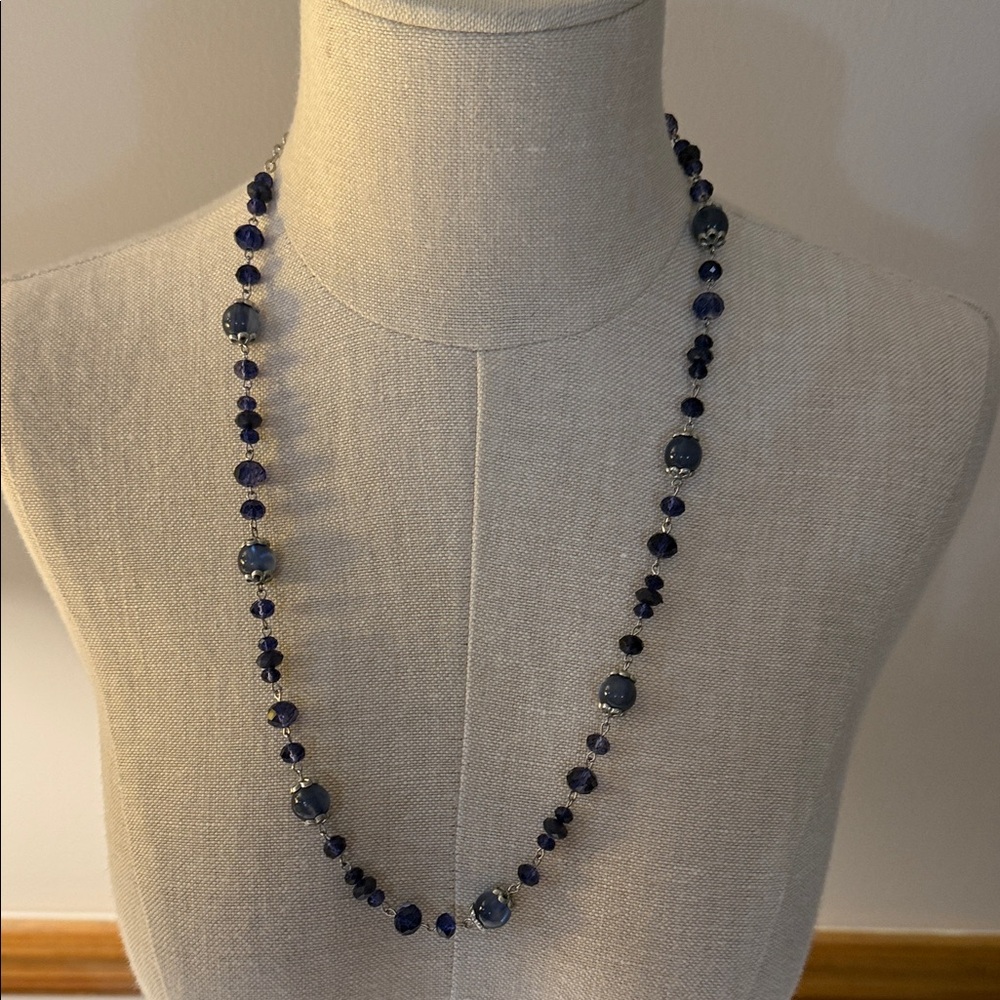 Charming Charlie Silver and Midnight Blue Beaded Necklace